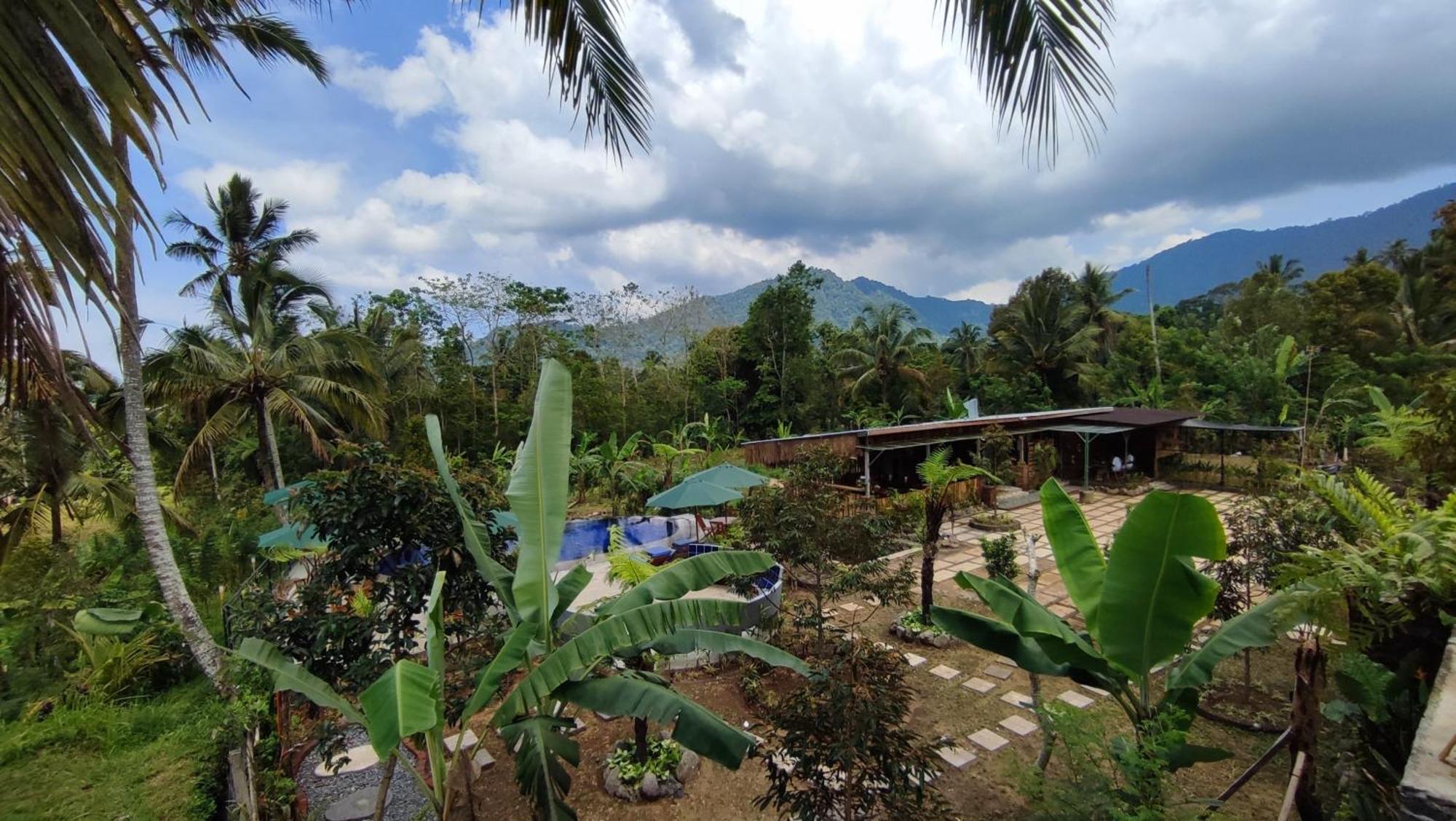 Sekumpul Bali Hidden Space Singaraja Εξωτερικό φωτογραφία