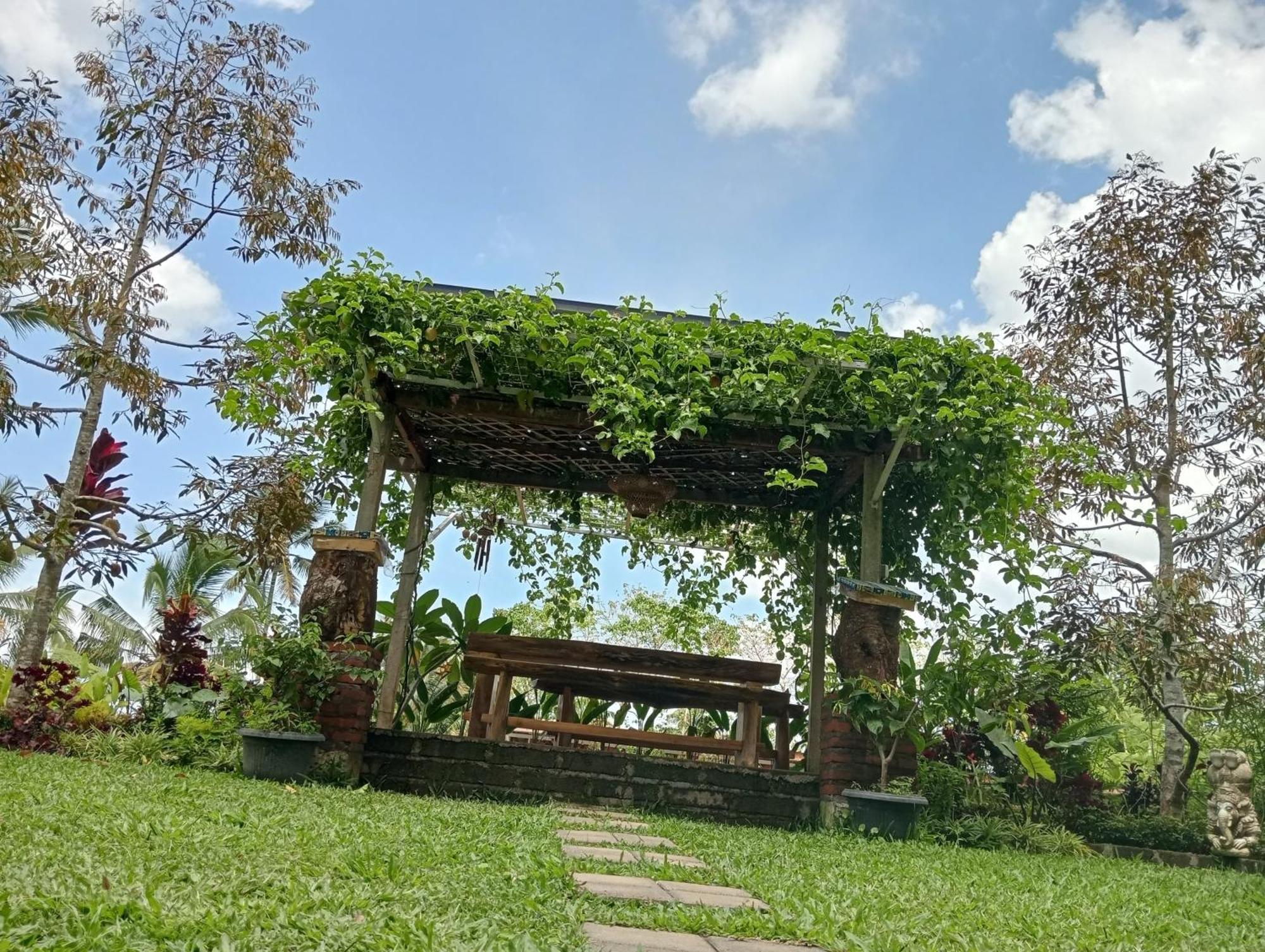 Sekumpul Bali Hidden Space Singaraja Εξωτερικό φωτογραφία